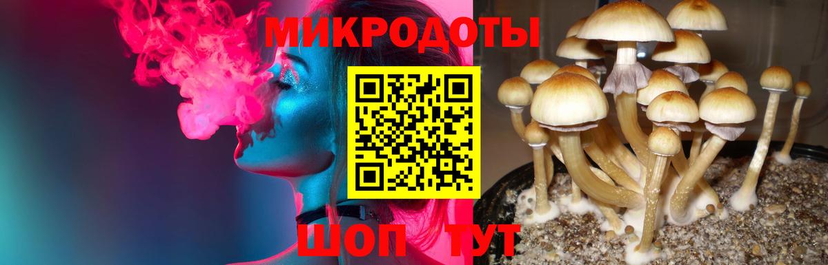 Галлюциногенные грибы мухоморы  Вход с VPN  Дагестанские Огни  Галлюциногенные грибы мухоморы 